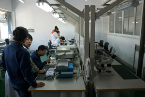 振蕩器組裝.JPG